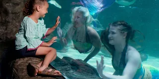 Myrtle Beach Aquarium Entry Ticket