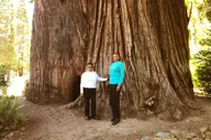 Redwood National Park Private Tour 3-Day thumbnail 5