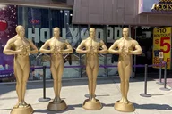 Los Angeles City Tour Hollywood & Beverly Hills 9 hr thumbnail 2