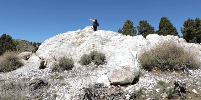 Big Bear Lake Gold History Tour - Image 3