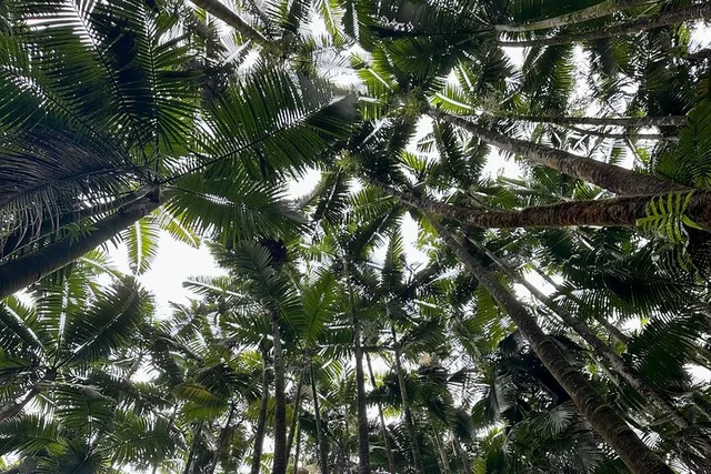 Hawaii Sightseeing Tour - Image 5