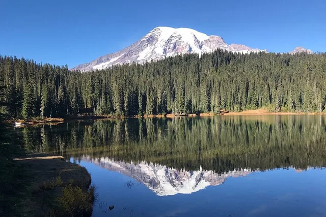 Seattle Mt. Rainier National Park Tour - Image 4