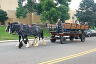 Golden Wagon Ride Tour thumbnail 1