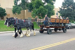 Golden Wagon Ride Tour
