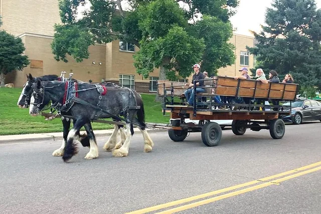 Golden Wagon Ride Tour - Image 1