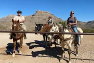 Joshua Tree Horseback Ride with Buffalo Lunch thumbnail 4