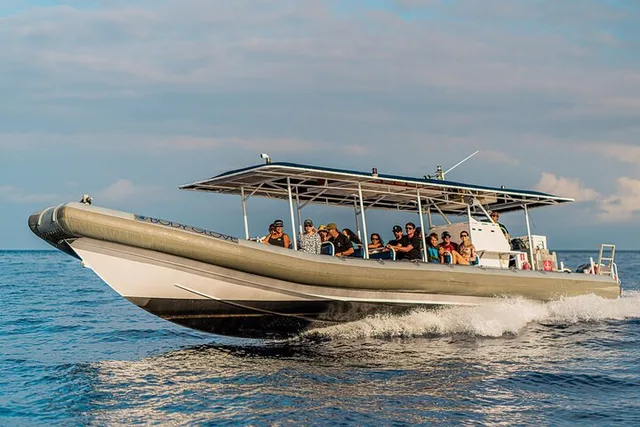 Kona Whale Watching Super-Raft Tour 2.5 hr - Image 6