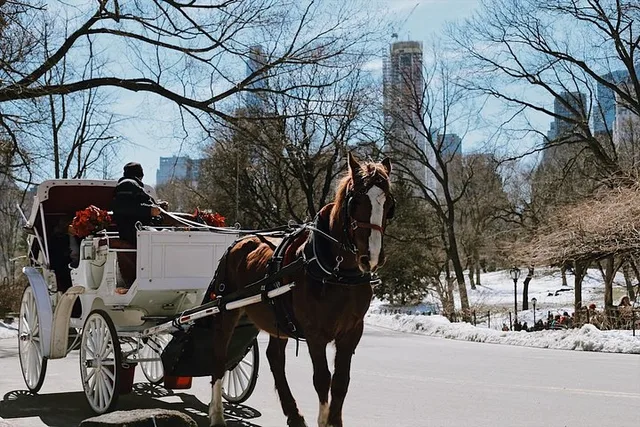 New York Central Park Guided Walking Tour - Image 4