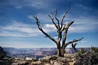 Las Vegas Grand Canyon Private Tour with Guide thumbnail 5