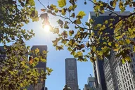 New York Central Park Selfie Tour with Photographer thumbnail 3