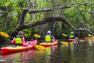 Amelia Island Kayak Tour of Lofton Creek thumbnail 1