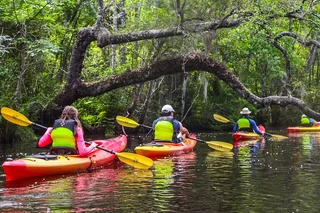 Amelia Island Kayak Tour of Lofton Creek