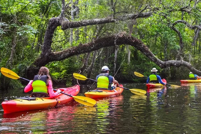 Amelia Island Kayak Tour of Lofton Creek - Image 1