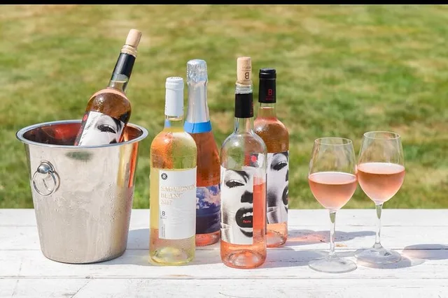 Long Island Private Winery Tour - Image 5