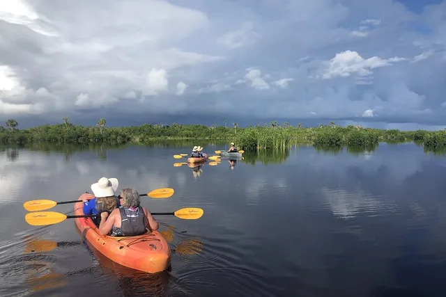 Naples Kayak Tour in Mangrove Tunnels - Image 3