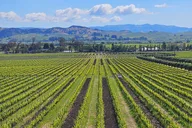 Napa Valley Private Wine Tour thumbnail 5