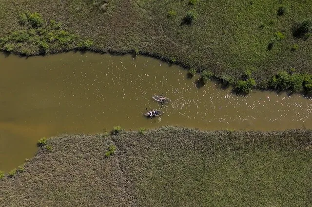 Flagler County Glass Bottom Eco Tour - Image 2