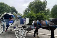 New York City Central Park Horse and Carriage Ride thumbnail 2