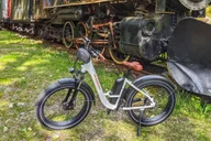 Skagway E-Bike and White Pass Summit Tour thumbnail 4