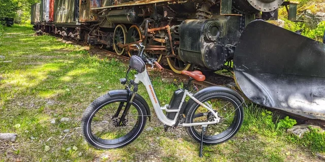 Skagway E-Bike and White Pass Summit Tour - Image 4