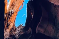 Antelope Canyon Tour Through Ligai Si Anii thumbnail 3