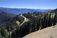 Olympic National Park Small-Group Day Tour thumbnail 1