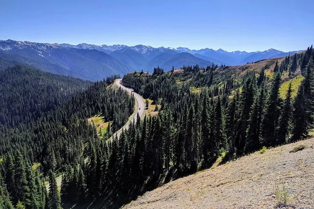 Olympic National Park Small-Group Day Tour - Image 1