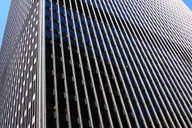 Chicago Skyscraper Walking Tour thumbnail 1