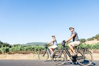 Napa Electric Bike Rental Full-Day