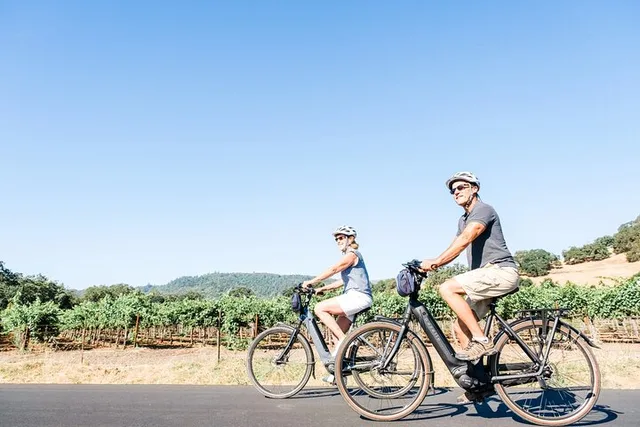 Napa Electric Bike Rental Full-Day - Image 1