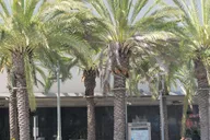 Los Angeles South LA Food and History Tour thumbnail 3
