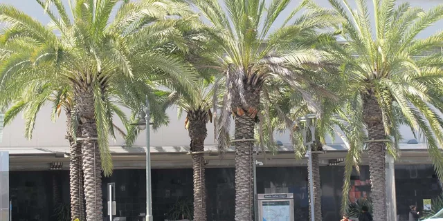 Los Angeles South LA Food and History Tour - Image 3