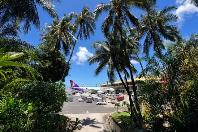 Honolulu Airport Lei Greeting - Image 2