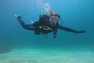 Panama City Scuba Diving for Beginners thumbnail 5