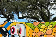 Miami Wynwood Walls Street Art Walking Tour thumbnail 5