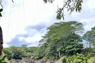 Hilo Volcanoes National Park Tour thumbnail 1
