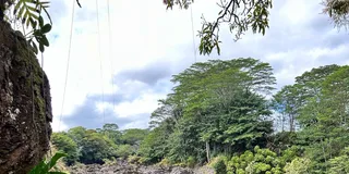 Hilo Volcanoes National Park Tour