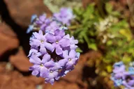 Sedona Metaphysical Photography Tour thumbnail 1
