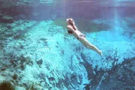 Crystal River Kayak and Swim Tour of Three Sisters Springs thumbnail 4
