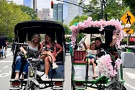 New York Central Park Pedicab Tour thumbnail 5