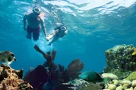 Key West Reef Snorkeling with Drinks thumbnail 1