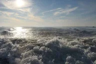Pensacola Beach Dolphin Cruise with Snorkeling thumbnail 4