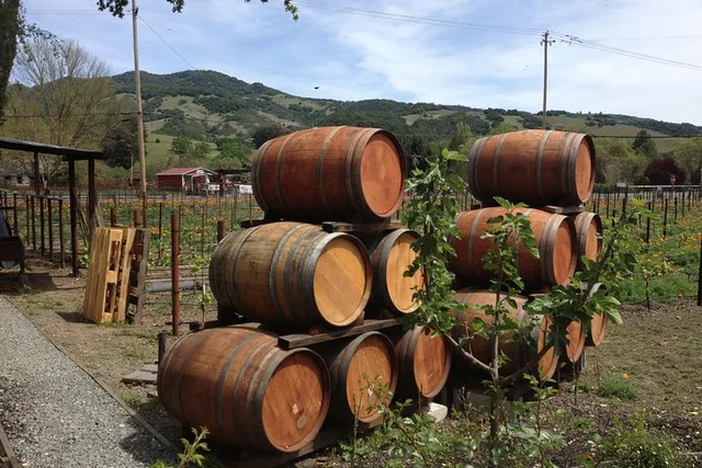 San Francisco to Napa Valley Wine Tour - Image 4