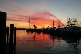 Key Largo Sunset Cruise with Snorkeling Option