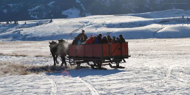 Jackson Hole National Elk Refuge Sleigh Ride - Image 3