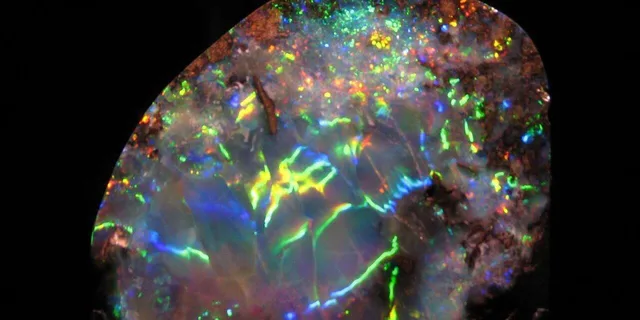 Houston Museum of Natural Science Digital Tour - Image 2