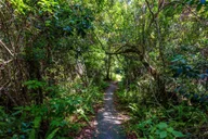 Miami Everglades Private Tour 4 hr thumbnail 2