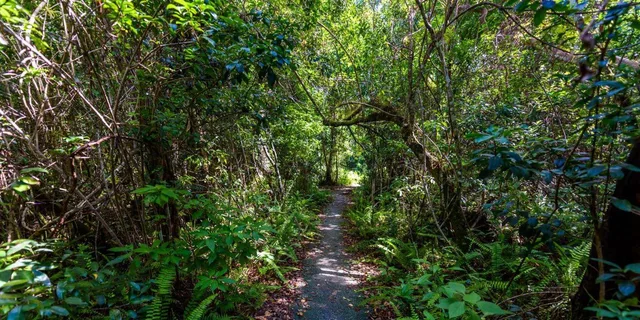 Miami Everglades Private Tour 4 hr - Image 2
