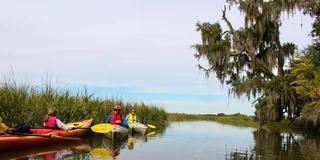 Hilton Head Private Outback Kayak Tour