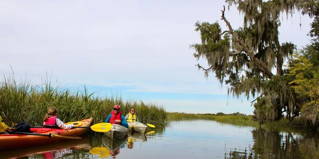 Hilton Head Private Outback Kayak Tour - Image 1